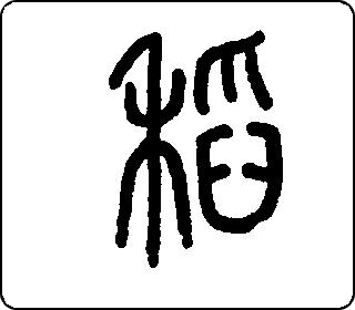 稻 中华5000