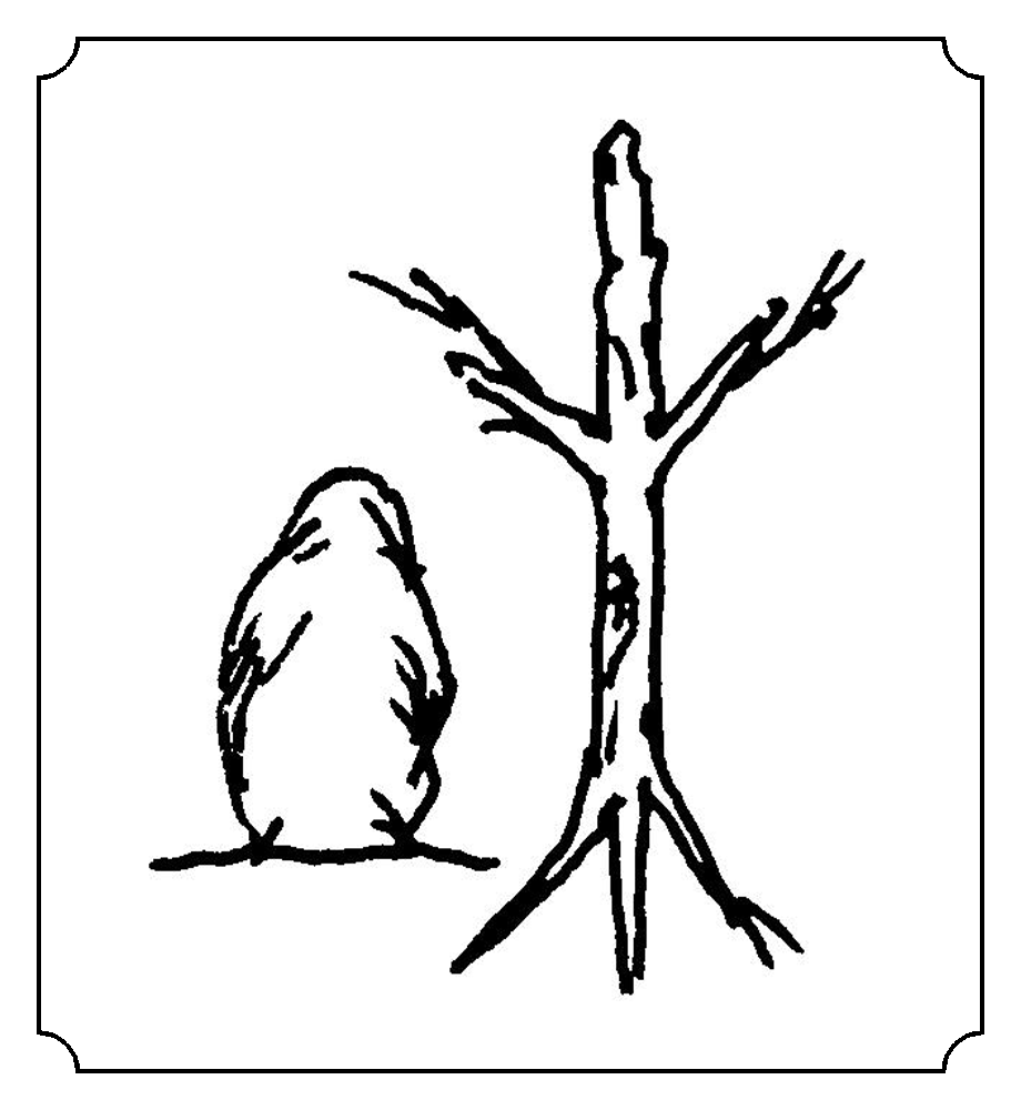 杜 笔画: 七笔  部首: 木 字解 词解 例句 字谜