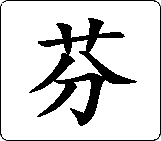 芬 中华5000