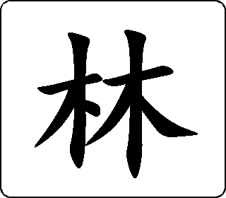 林 中华5000