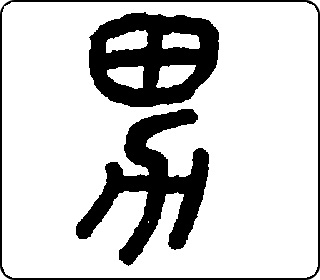 男- 中华5000