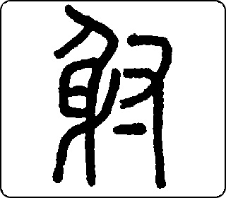 射 中华5000