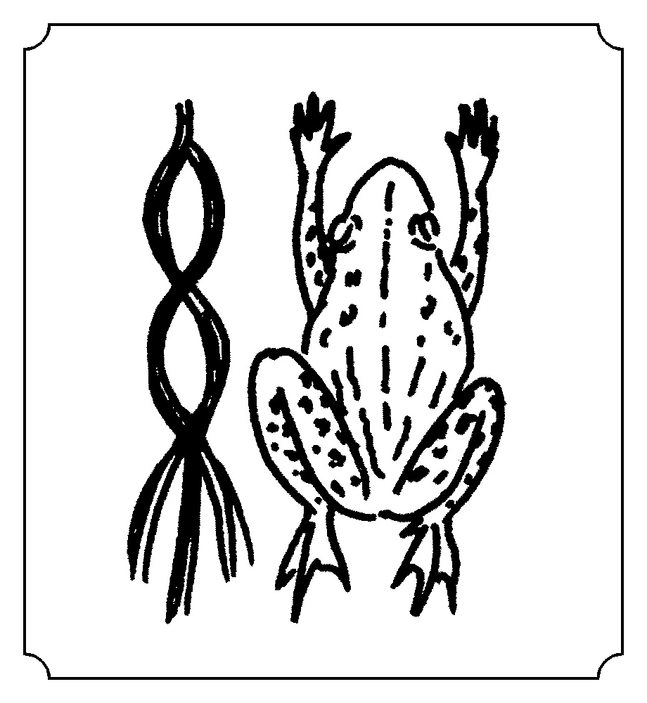 绳 (绳) 笔画: 十一笔  部首: 纟(糹) 繁体字: 绳 字解 词解 例句