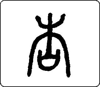 杏 中华5000
