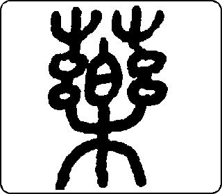 药- 中华5000