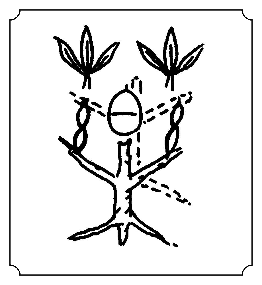 药 (药) 笔画: 九笔  部首: 艹 繁体字: 药 字解 词解 例句 字谜