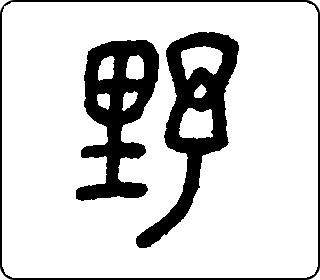 金文甲骨文野