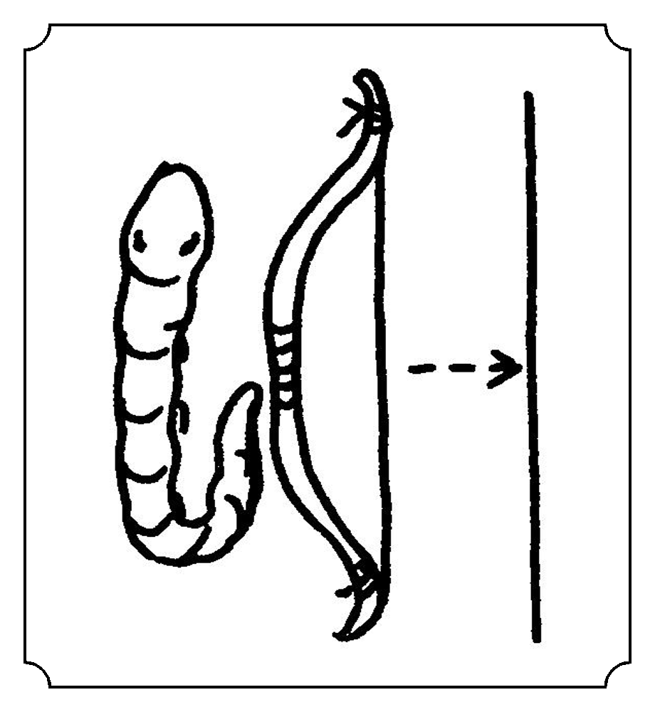 yn 蚓 笔画: 十笔  部首: 虫 字解 词解 例句 字谜