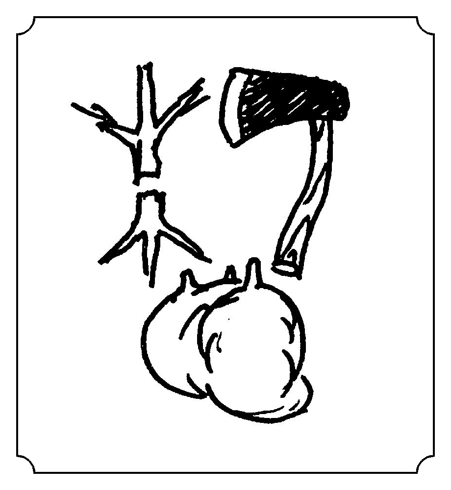 哲 official 笔画: 10 stroke  radicals: 口 word term sentence