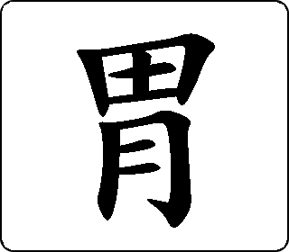 胃 中华5000